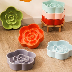 Why Your Pet Deserves the Best: A Look at the Premium Ceramic Slow-Feeding Bowl