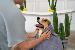 Grooming Habits MAKE Pet Happy