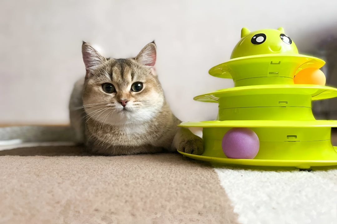 Interactive Toys That Keep Pets Entertained