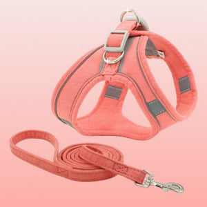 Adjustable Pet Vest Chest Harness With Comfortable Leash